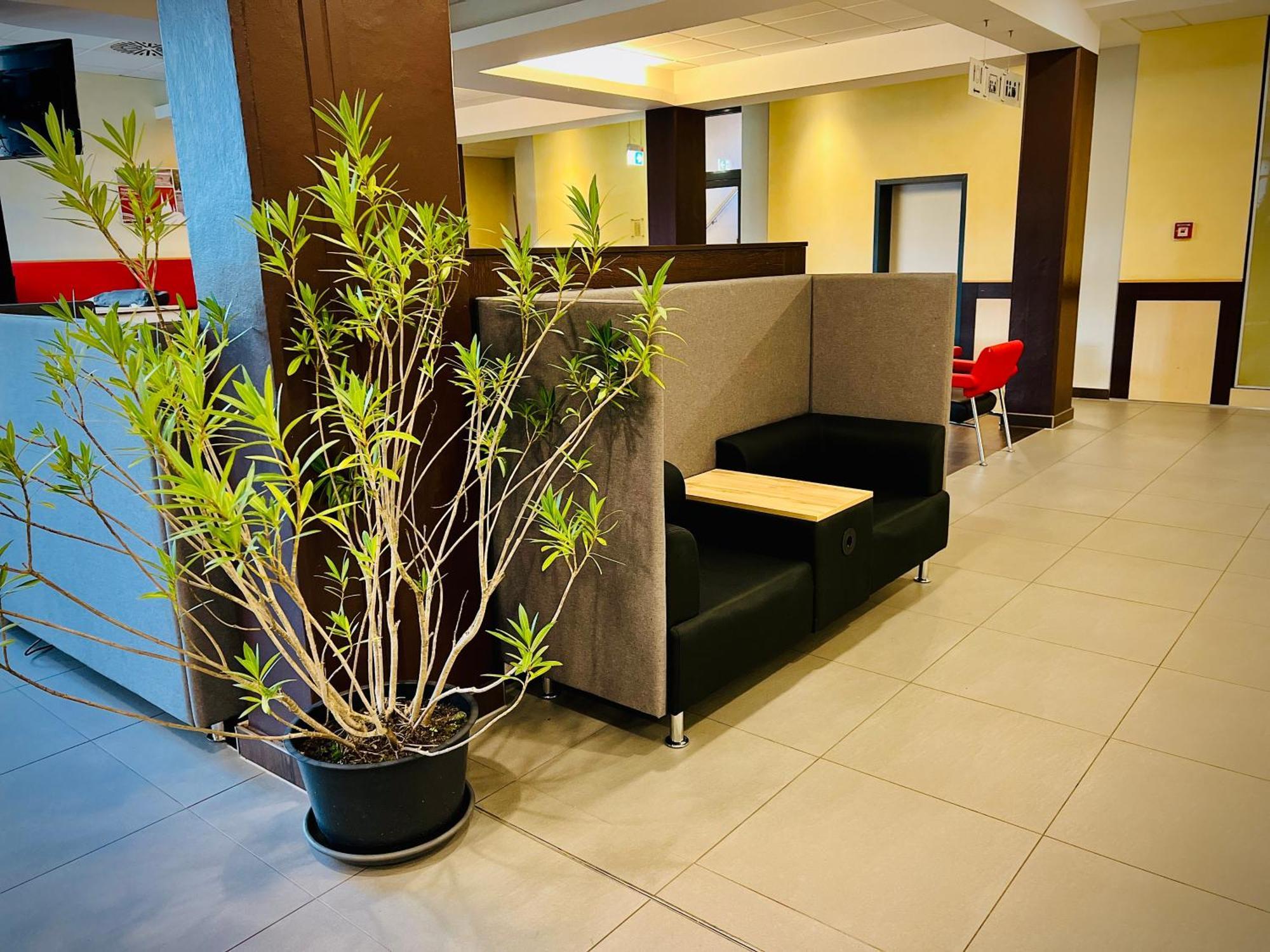 Jugendherberge City-Hostel Koeln-Riehl Εξωτερικό φωτογραφία